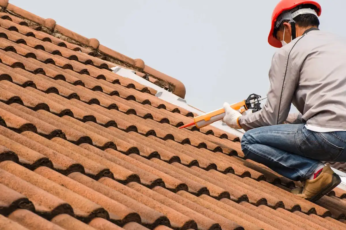 Leak detection and roof repair